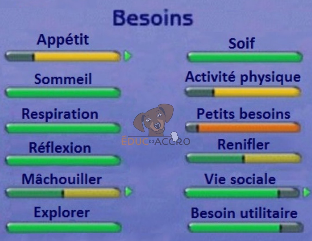 Des jauges représentant les besoins du chien et leurs niveaux de remplissage