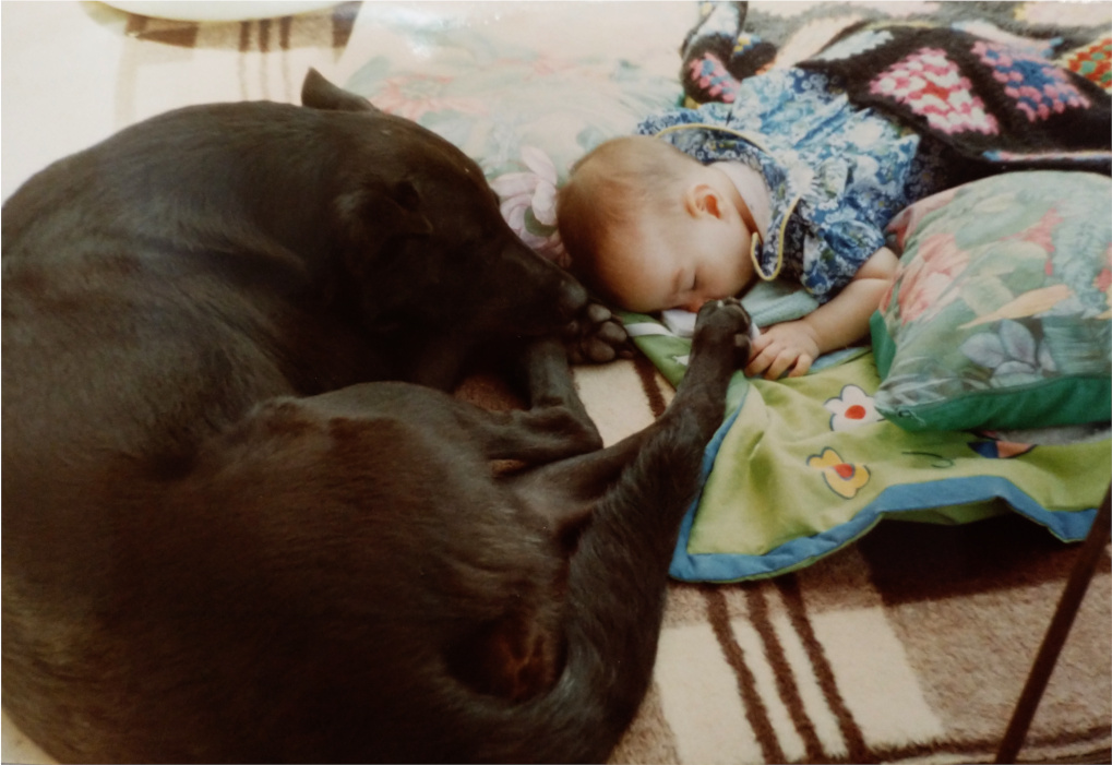 Une chienne typ&eacute;e groenendael est couch&eacute;e et veille sur moi, b&eacute;b&eacute;