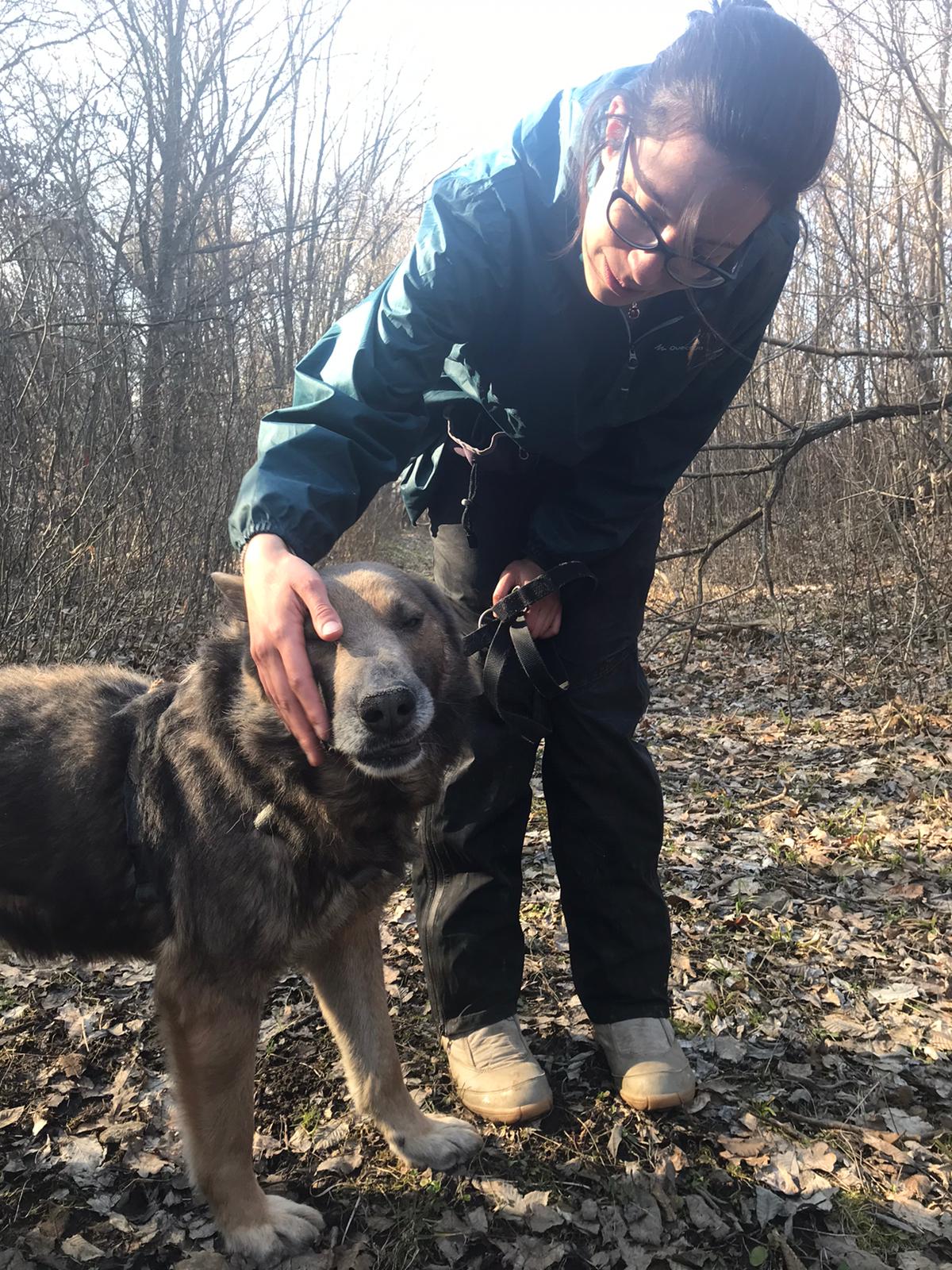 Marie touchant la t&ecirc;te d'un chien roumain en for&ecirc;t