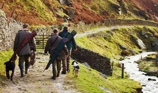 Attention : Reprise de la chasse en Alsace !